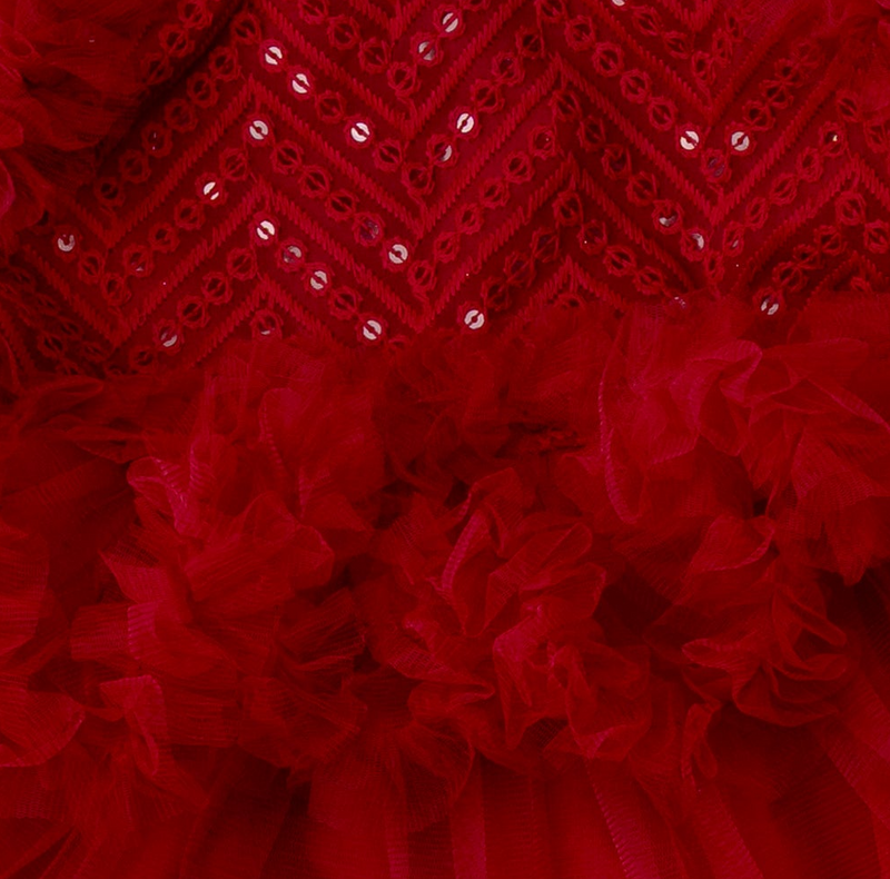 Girls Red Soft Net Embroidered Party Dress