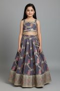 Girl Grey Banarsi Sleeveless Baby Lehnga